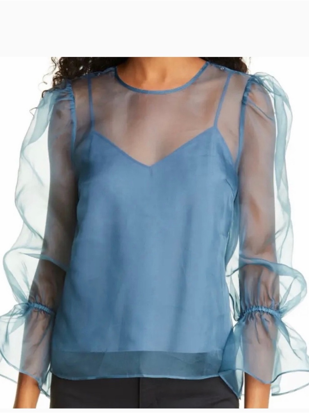 cinq a sept Blue Sheer Organza Puff Sleeve Top